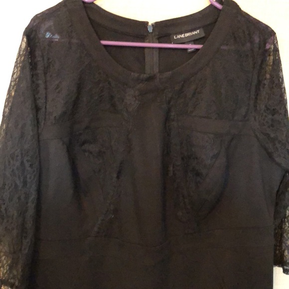 Lane Bryant - Picture 3 of 8